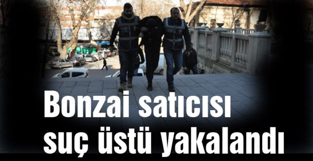 Kütahya'da Bonzai satıcısına suçüstü...