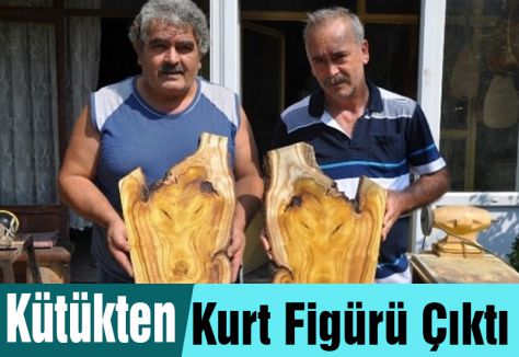 Kütükten Kurt başı çıktı