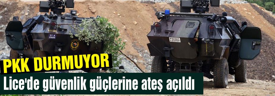 Lice'de güvenlik güçlerine ateş açıldı