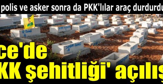 Lice'de PKK Şehitliği...