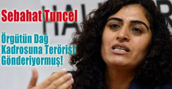 Mahkeme Tuncel'in Hapiz Cezasınn gerekçesini Açıkladı