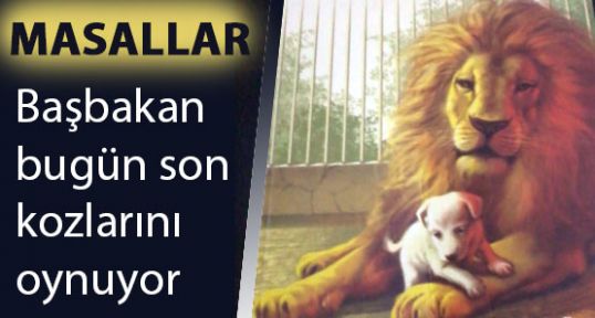 Masalların Dili