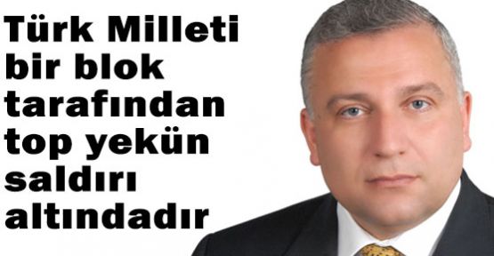 Medya Köpekleri