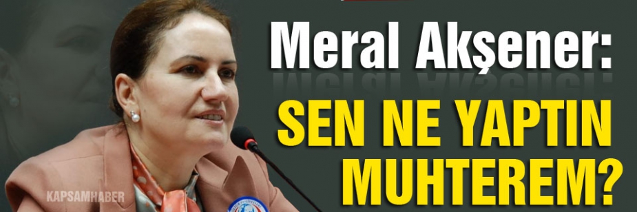 Meral Akşener: Sen ne yaptın muhterem!