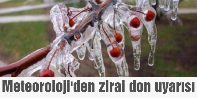 Meteoroloji'den zirai don uyarısı
