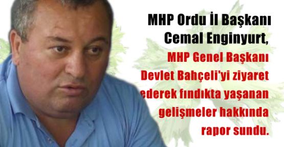 MHP' den Fındık Üreticisine Tam Destek