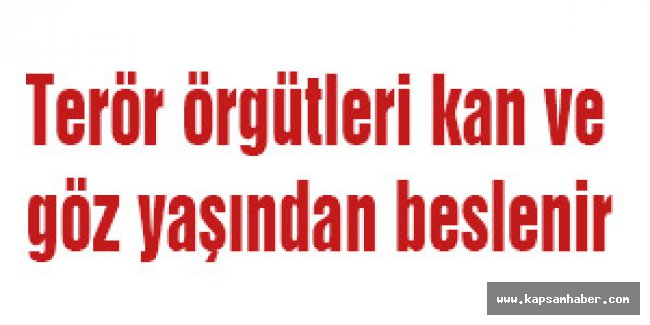 MHP'li Karadağ:Terör örgütleri kan ve göz yaşından beslenir