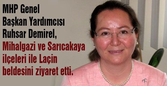 MHP'li Demirel'den İlçe Ziyaretleri