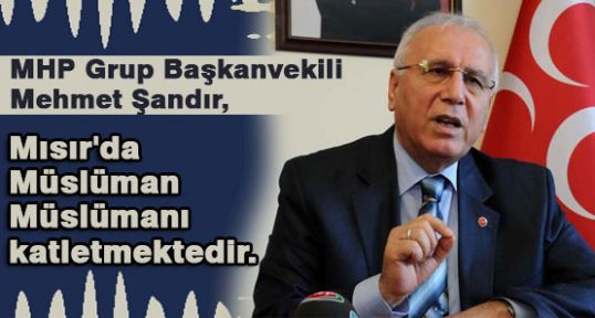 MHP'li Şandır;