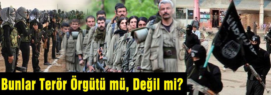Bunlar Terör Örgütü mü, Değil mi?