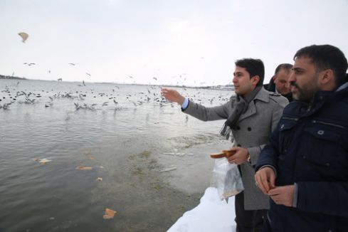 Mogan Gölü'ndeki kuşlar için ekmek kampanyası
