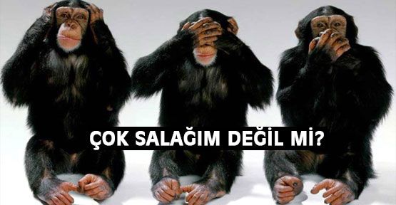 Nasıl bir bayram kutlamaysa artık bu!