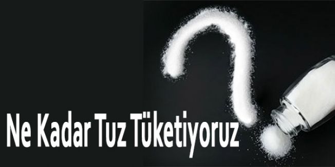 Ne Kadar Tuz Tüketiyoruz...
