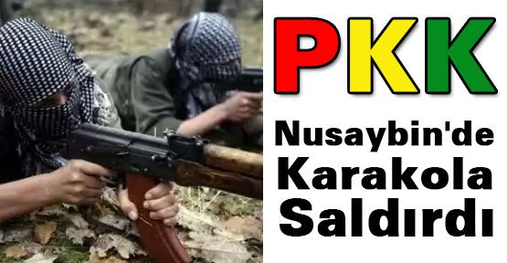 Nusaybin'de Karakola Saldırı