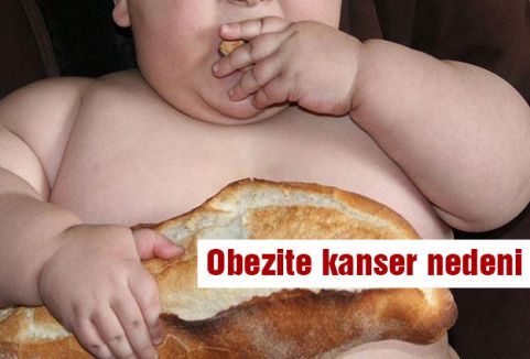 Obezite kanser nedeni
