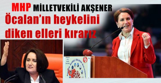 Öcalan’ın Heykelini Diken Elleri Kırarız!