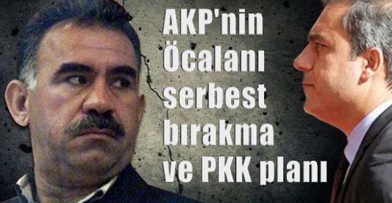 Öcalanın Serbest Bırakması ve PKK Planı