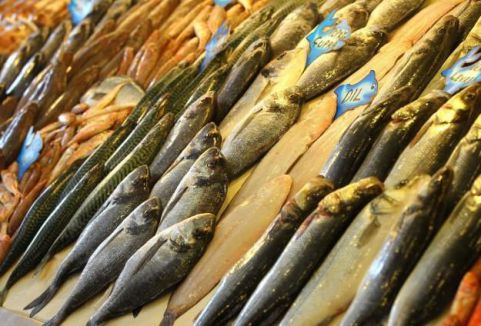 Omega-3 çocuklar için faydalı