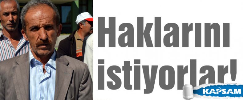 Orman işçileri haklarını istiyor!