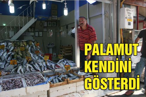 Palamutu Özlemiştik...