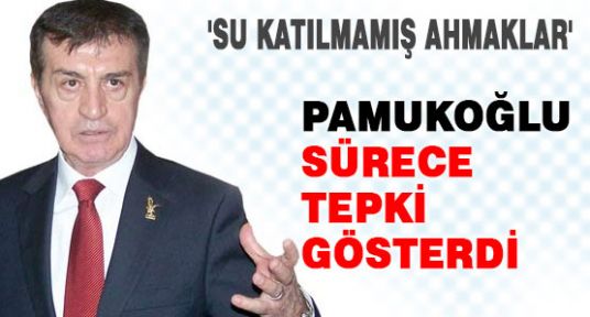 Pamukoğlu Su Katılmamış Ahmaklar