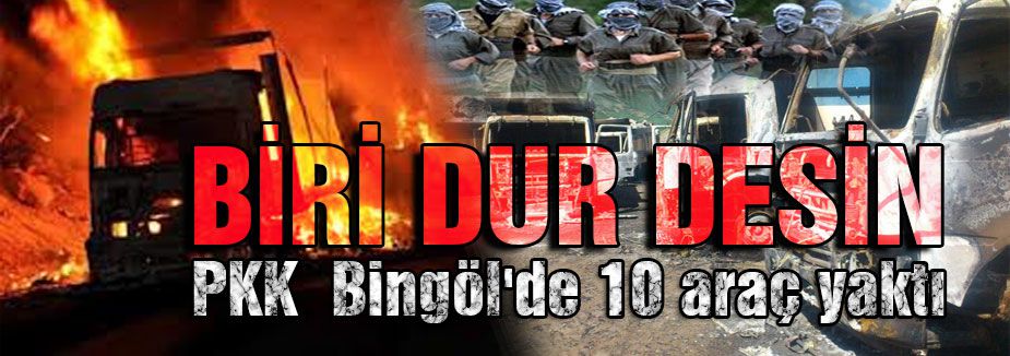PKK Bingöl'de 10 araç yaktı