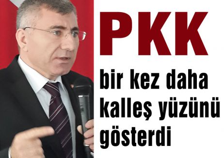 PKK bir kez daha kalleş yüzünü gösterdi