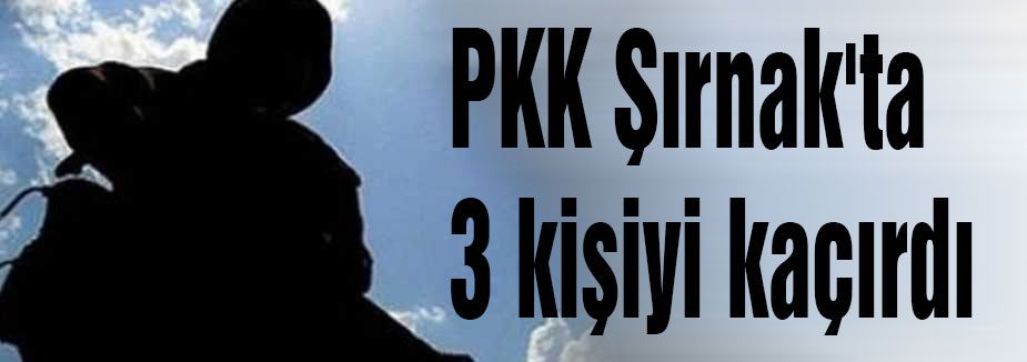 PKK 'dan kaçırma eylemi...