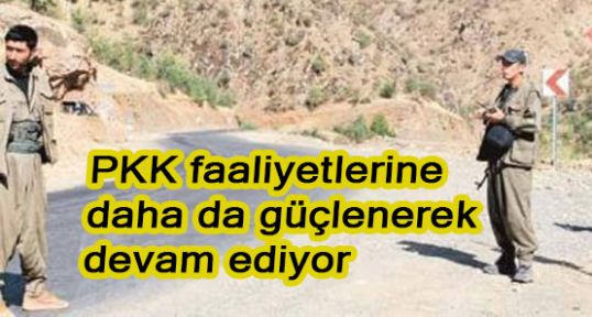 PKK faaliyetlerine devam ediyor