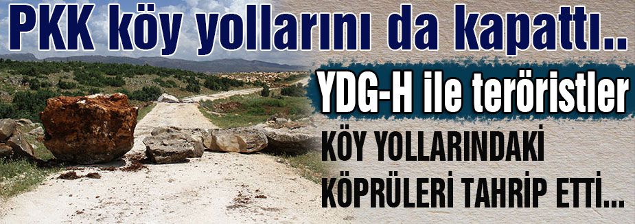 PKK köy yollarını da kapattı..