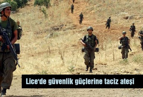 PKK Lice'de saldırdı