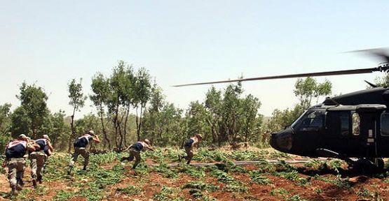 PKK Mali Kaynağına Darbe Yağıyor...