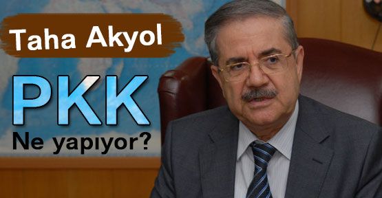 PKK ne yapıyor?
