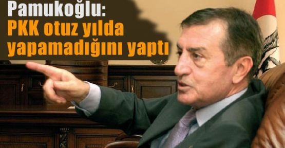 PKK Otuz yılda Yapamadığını Yaptı