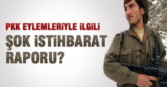 PKK Raporundaki Korkunç Bilgi