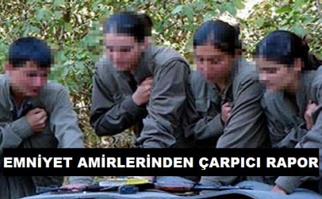 Rakamlarla PKK gerçeği !