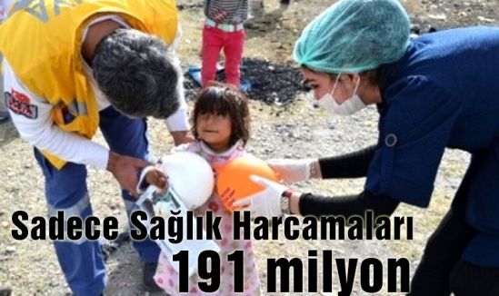 Sadece Sağlık Harcamaları 191 milyon