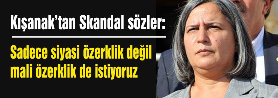 'Sadece siyasi özerklik değil mali özerklik de istiyoruz'