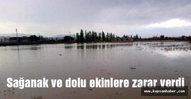 Sağanak ve dolu ekinlere zarar verdi