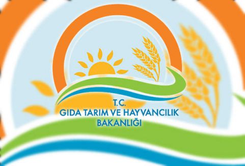 Sağlığımızla oynayan sahtekarlar!