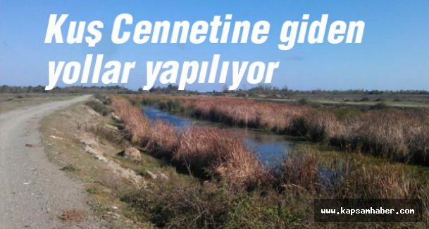 Samsun'da Kuş Cennetine giden yollar yapılıyor