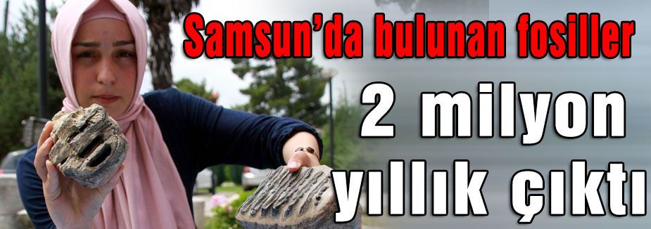 Samsun'da Bulunan Mamut Fosilleri 2 Milyon Yıllık