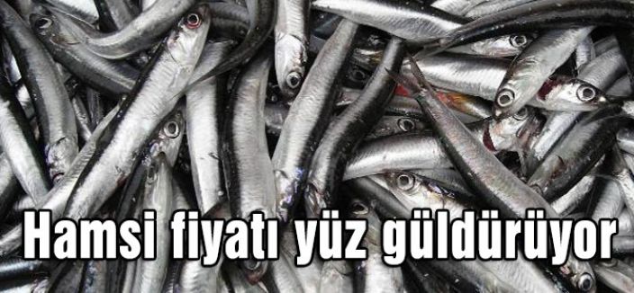 Samsun'da Hamside Bereket...