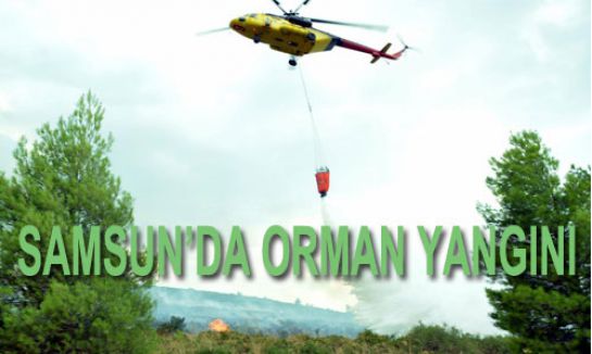 Samsun Orman Yangını