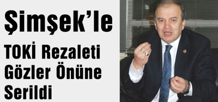Samsun'da Toki Rezaleti