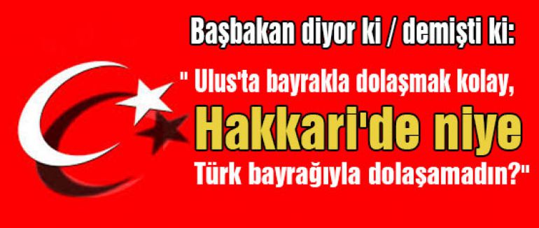 ŞANLI TÜRK BAYRAĞI