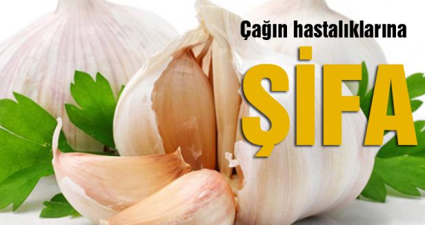 Sarımsak modern hastalıkların ilacı