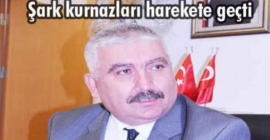 Şark kurnazları harekete geçti