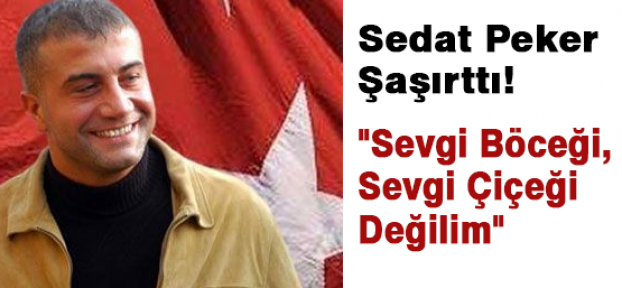 Sedat Peker, Ben Sevgi Böceği Değilim