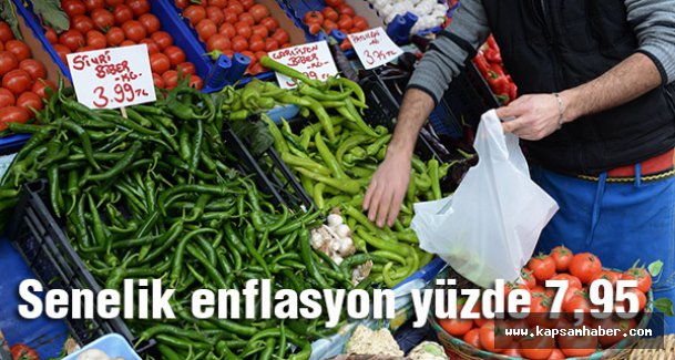 Senelik enflasyon yüzde 7,95